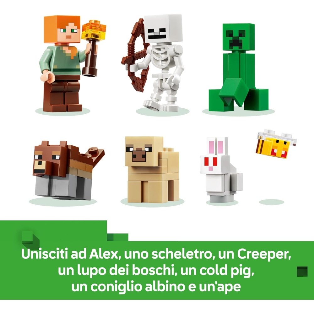 LEGO MINECRAFT - Avventura della prima notte 21593