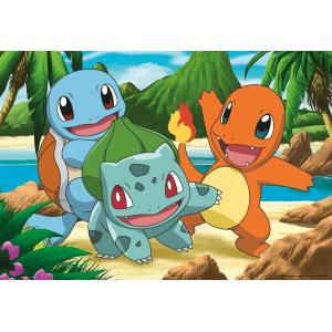 Ravensburger 2 x 24 pc - Pokémon 5668