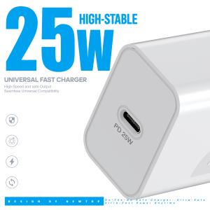 NEWTOP CM79 CARICATORE DA MURO PD 25W