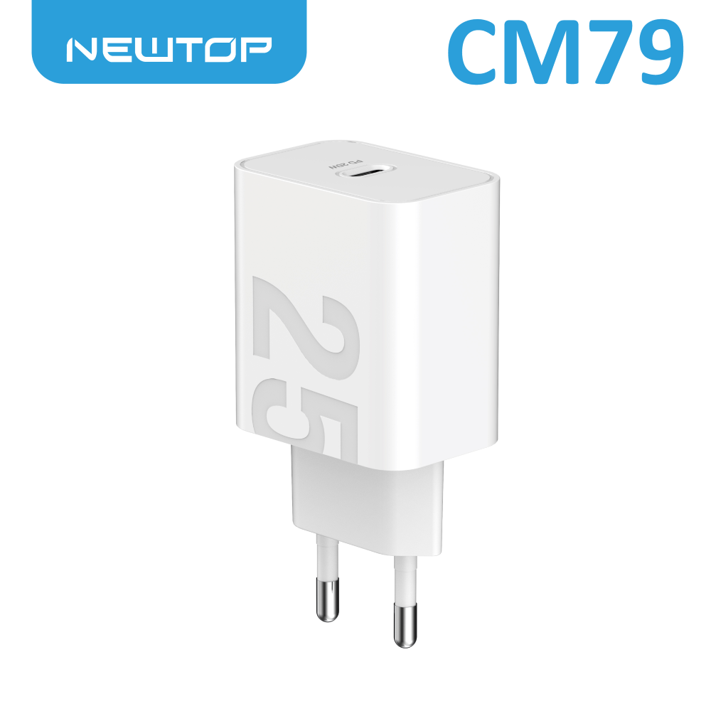 NEWTOP CM79 CARICATORE DA MURO PD 25W